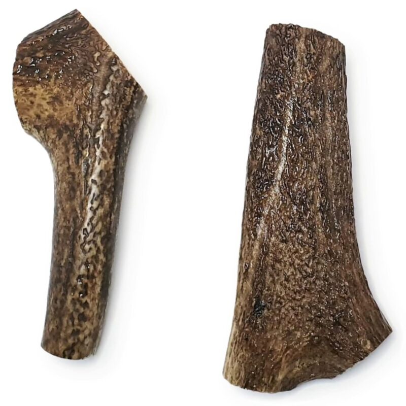 Antler - Large - Bag of 2