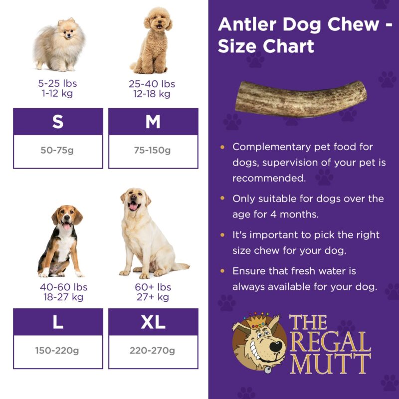 Antler - Size chart