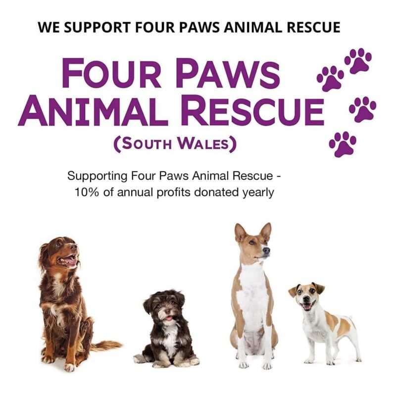 Supporting Four Paws Animal Rescue