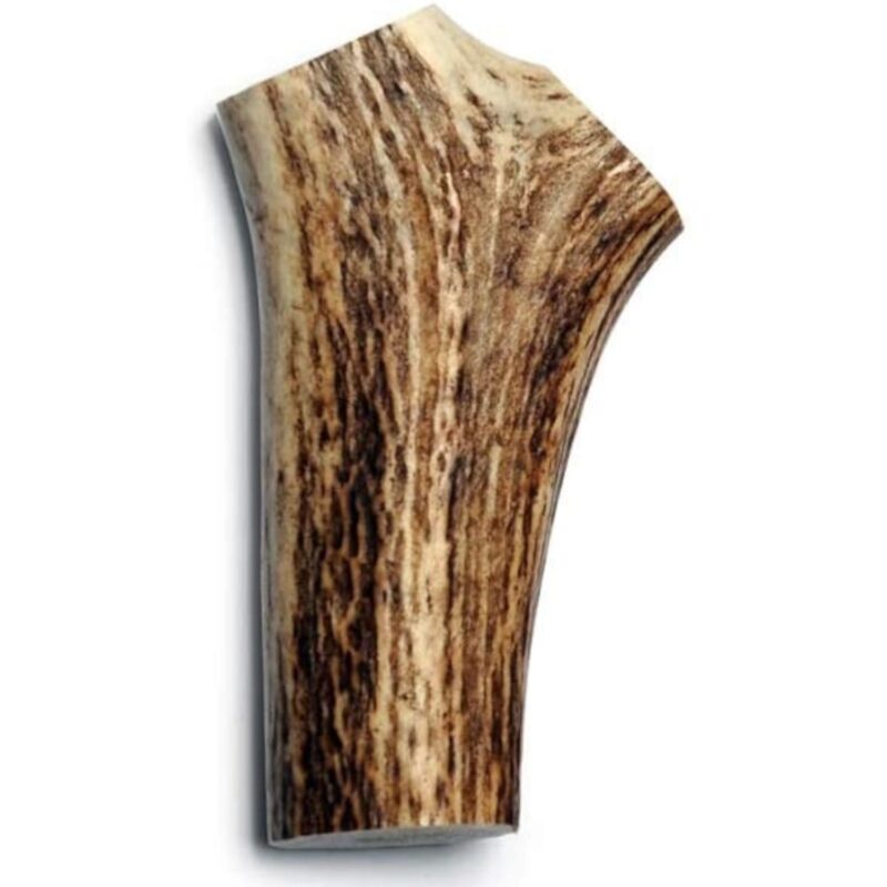 Antler - Medium - Bag of 1