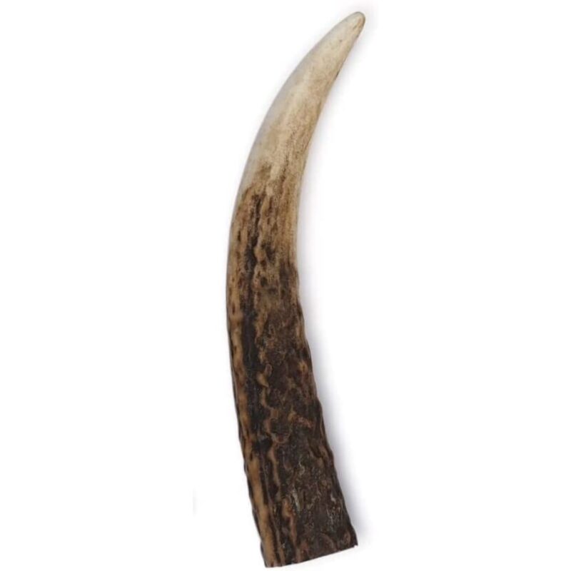 Antler - Puppy - Bag of 1