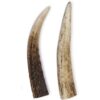 Antler - Puppy - Bag of 2