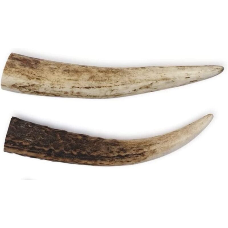 Antler - Puppy - Bag of 2