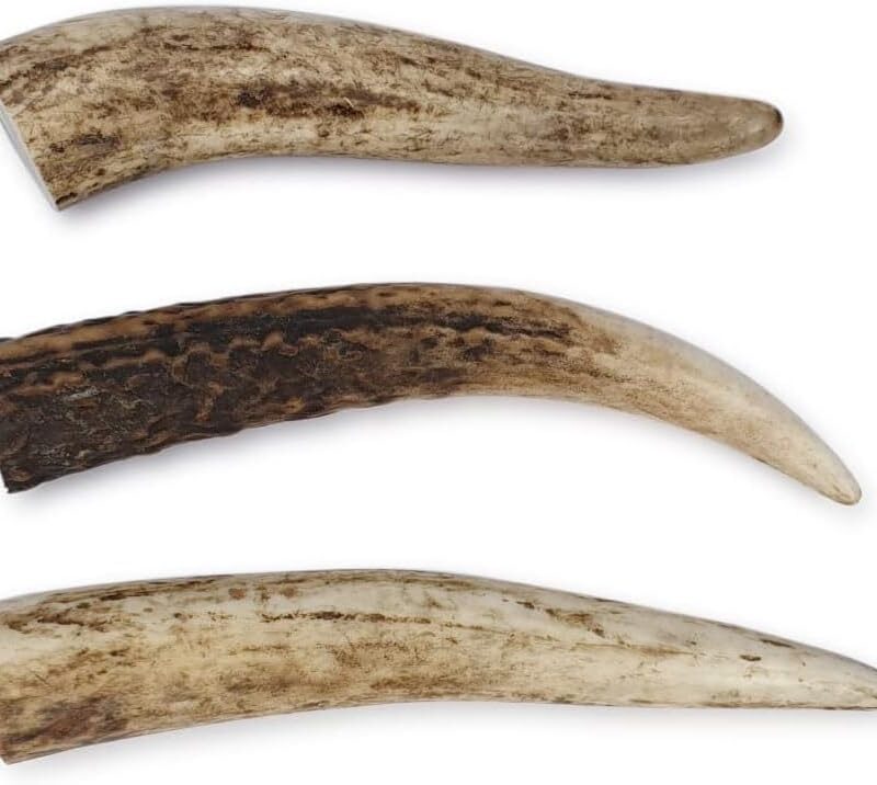 Antler - Puppy - Bag of 3