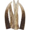 Antler - Puppy - Bag of 5