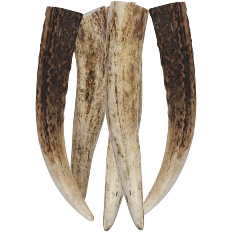 Antler - Puppy - Bag of 5