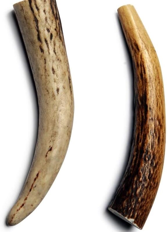 Antler - Small - Bag of 2