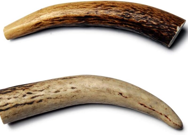 Antler - Small - Bag of 2