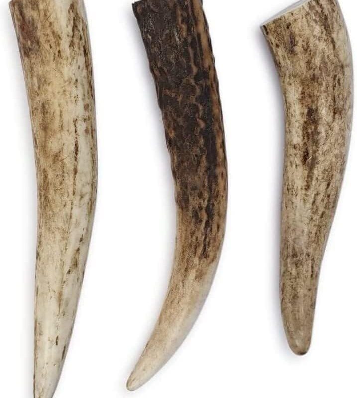 Antler - Small - Bag of 3