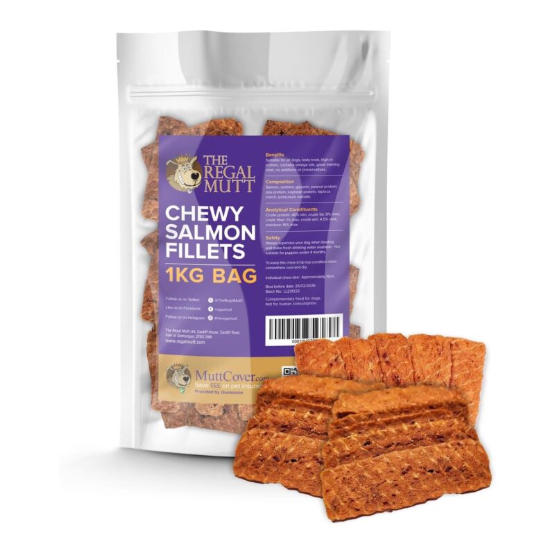Chewy Salmon Fillets - 1kg Bag