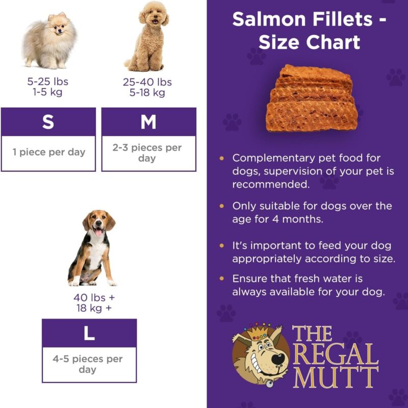 Chewy Salmon Fillets - 1kg Bag - Image 5