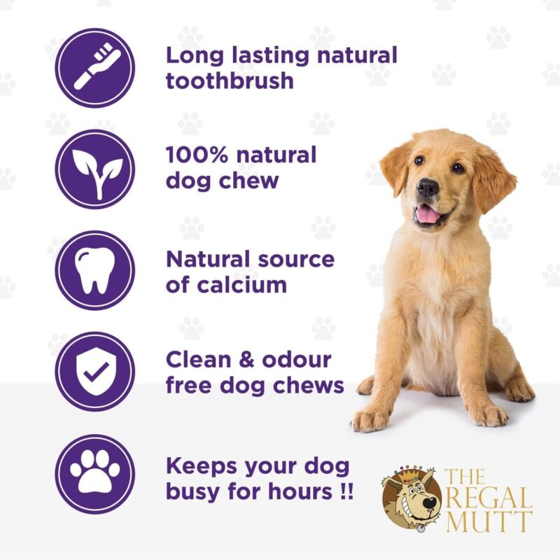 Fallow Antler Dog Chew - Small - Bag of 1 - Image 3