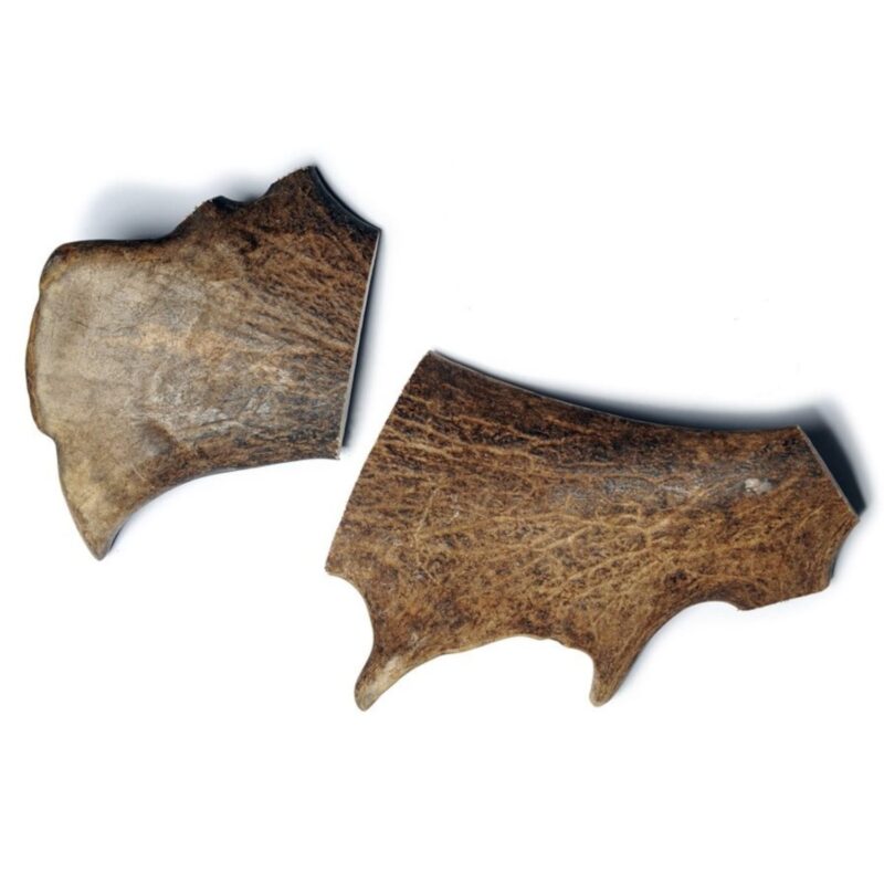 Fallow Antler - Large - Bag of 2