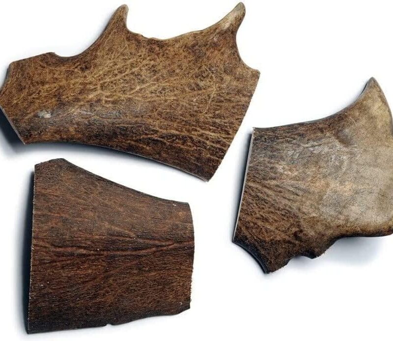 Fallow Antler - Large - Bag of 3