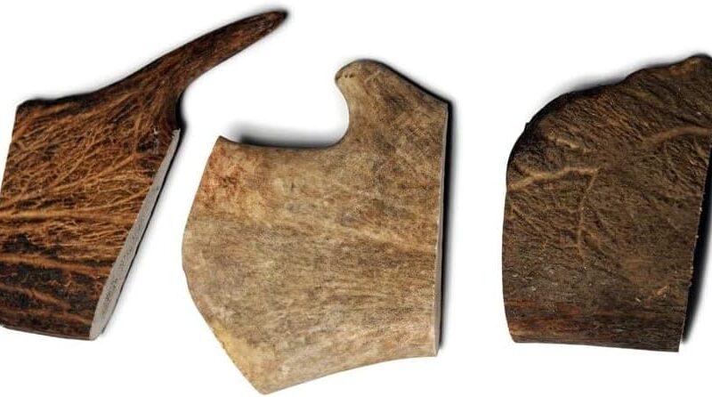 Fallow Antler - Medium - Bag of 3