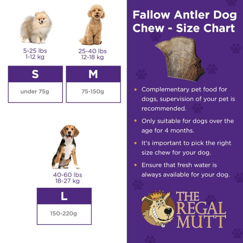 Fallow Antler Dog Chew - Small - Bag of 1 - Image 4
