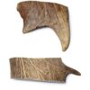 Fallow Antler - Small - Bag of 2