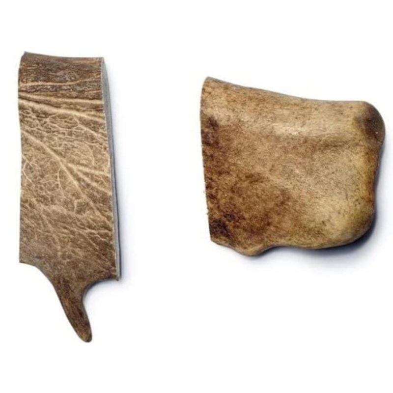 Fallow Antler - Small - Bag of 2