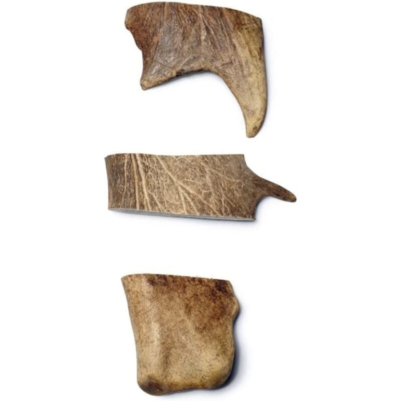 Fallow Antler - Small - Bag of 3