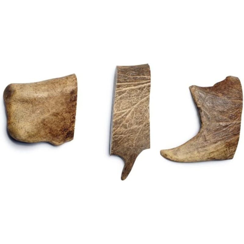 Fallow Antler - Small - Bag of 3