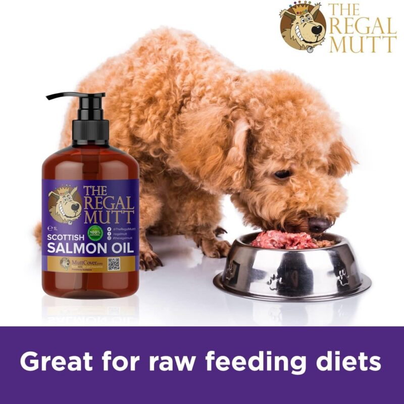 Salmon Oil – 1 Litre Bottle (with Pump) - Image 5