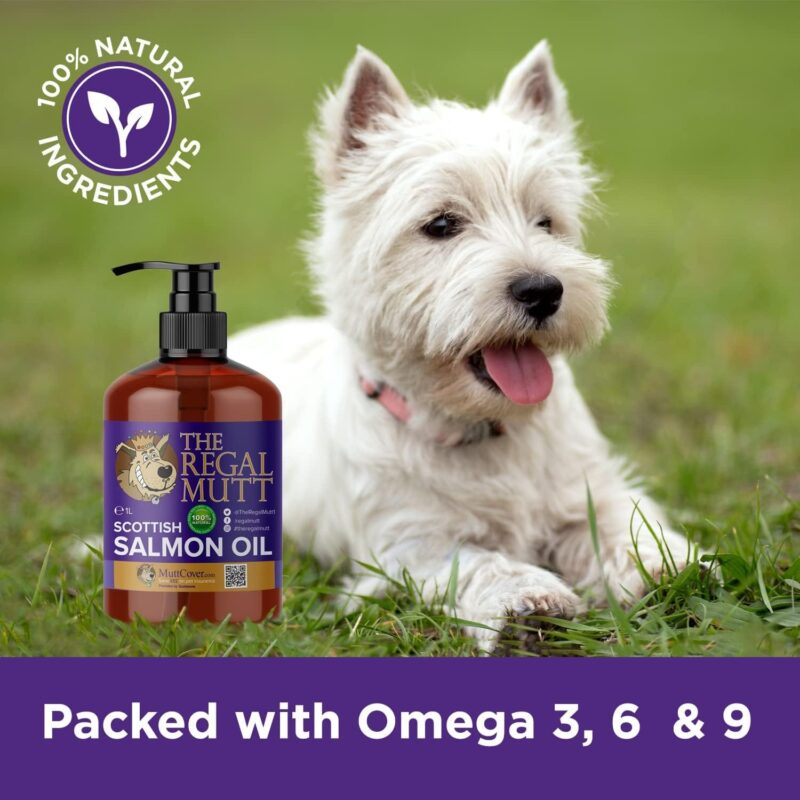 Salmon Oil – 1 Litre Bottle (with Pump) - Image 4