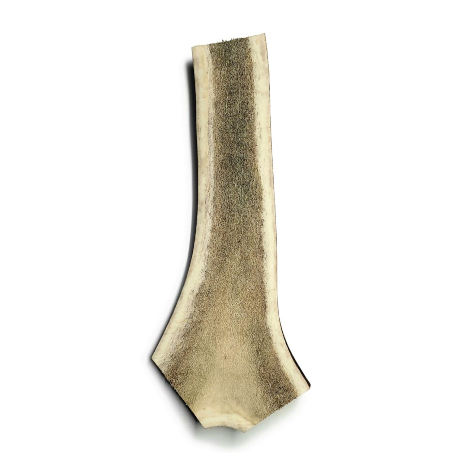 Split Antler - Large - Bag of 1