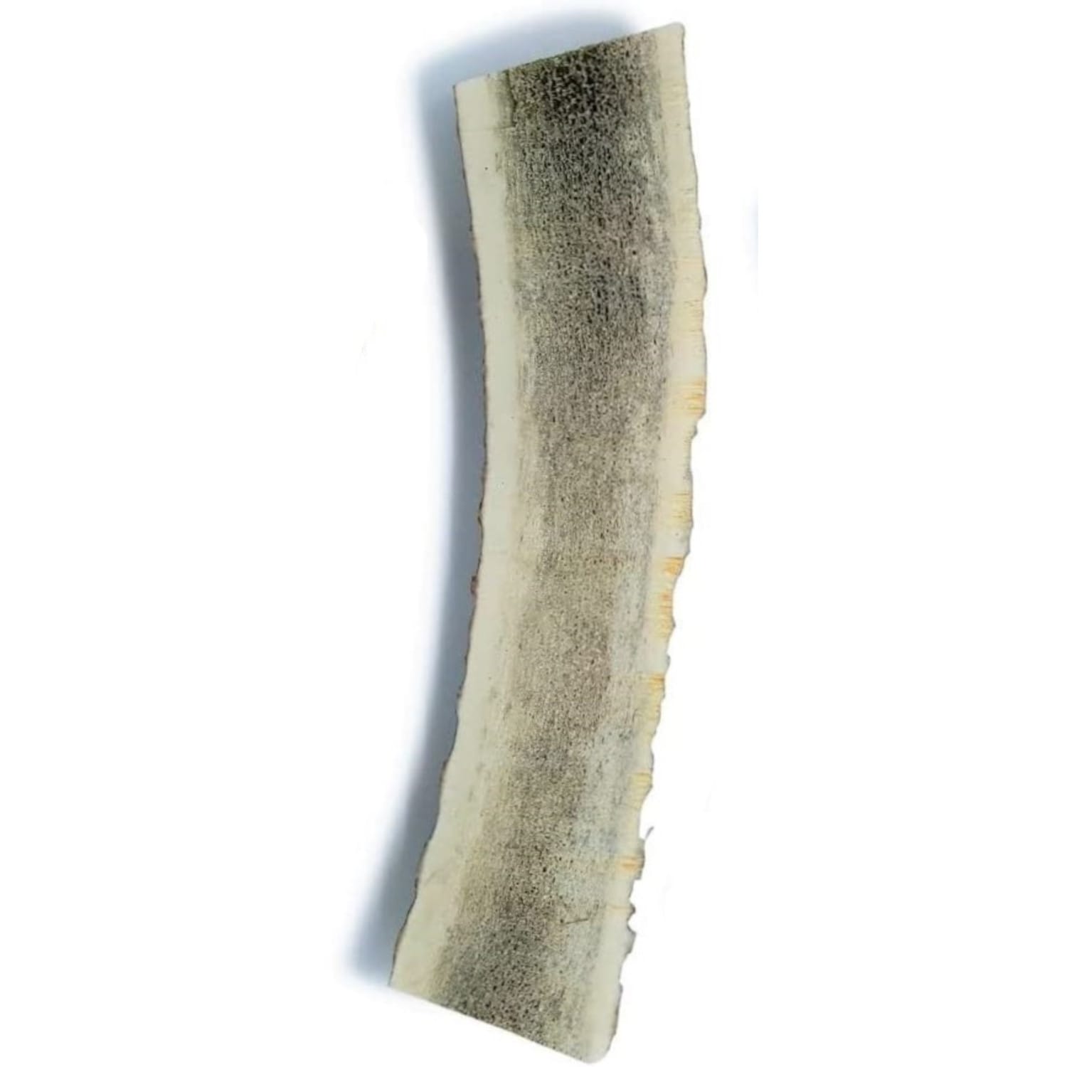 Split Antler - Medium - Bag of 1