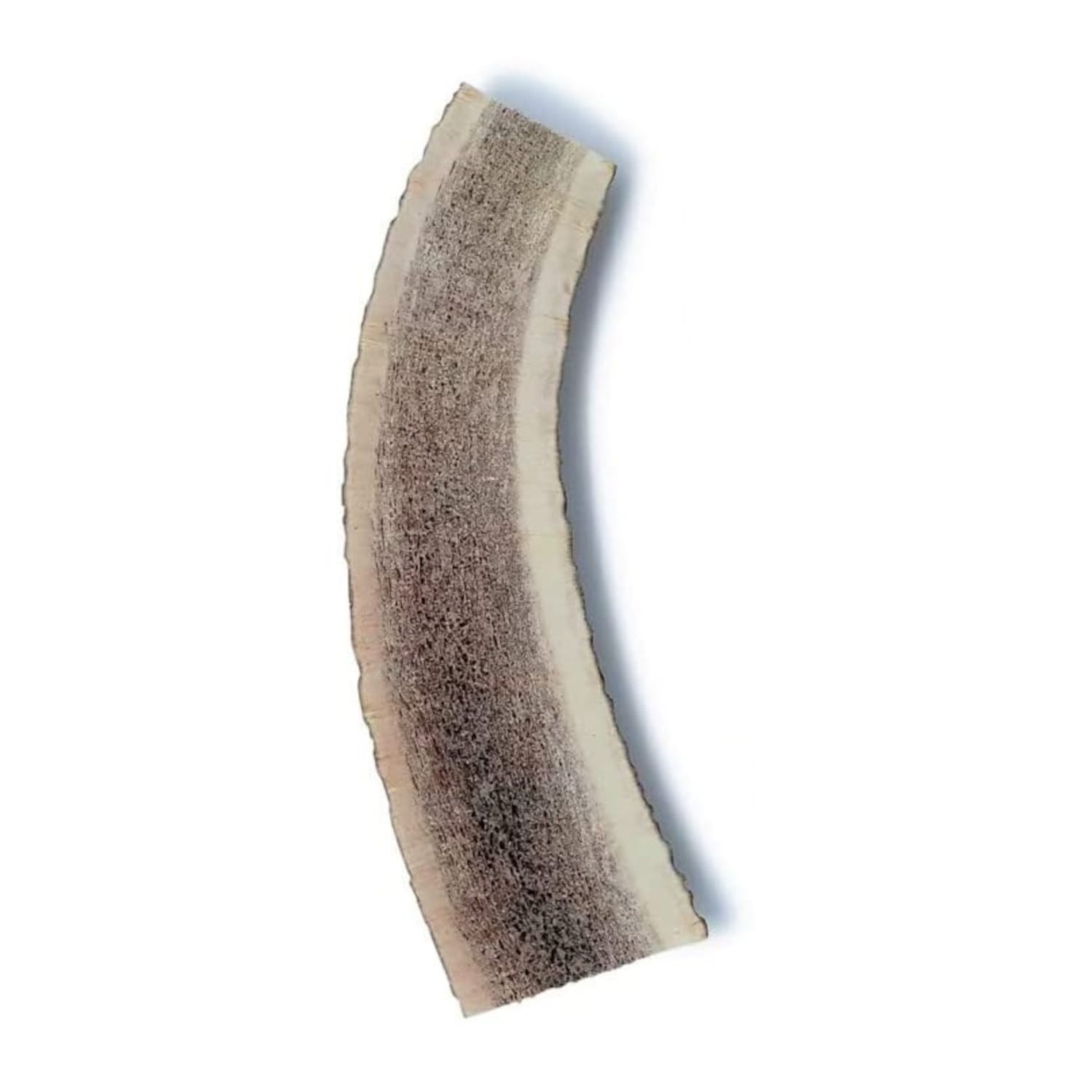 Split Antler - Medium - Bag of 1