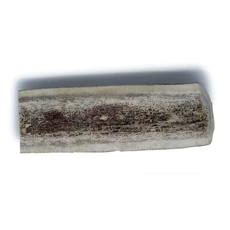 Split Antler - Small - Bag of 1