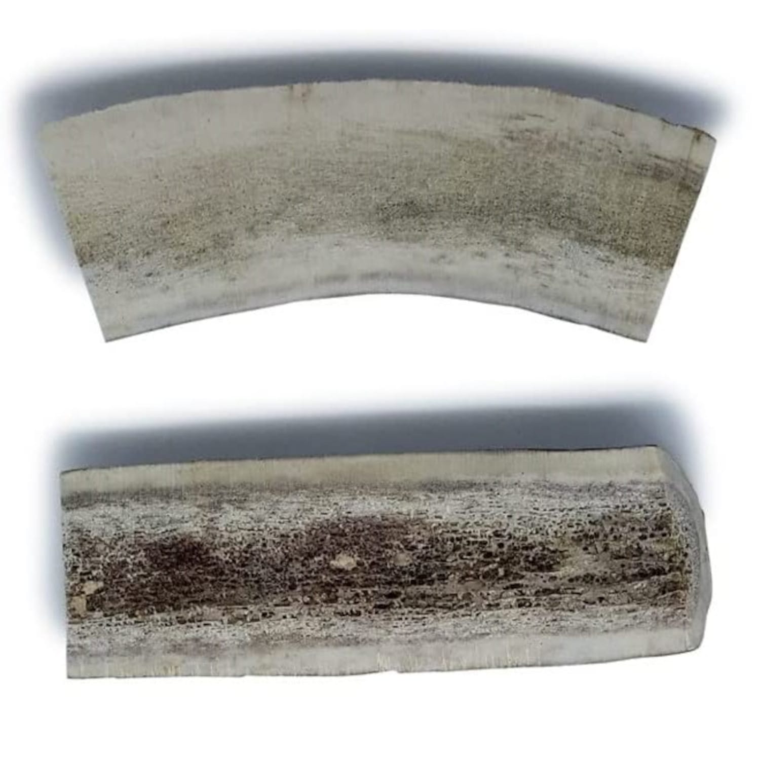 Split Antler - Small - Bag of 2