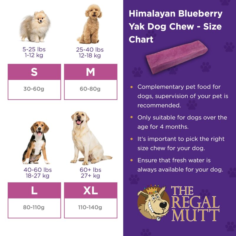 Himalayan Yak Chews - Blueberry Flavour – Extra Large - Bag of 3 - Image 5