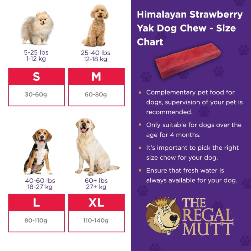 Himalayan Yak Chews - Strawberry Flavour - Medium - Bag of 1 - Image 5
