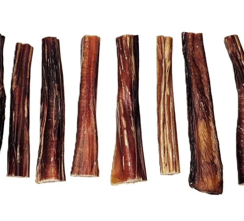 Bull Pizzles for Dogs - 12cm Long - Bag of 10 - Image 4