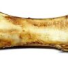 Ostrich Dino Bone