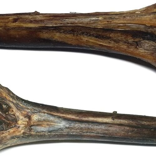 Ostrich Metatarsus Bones