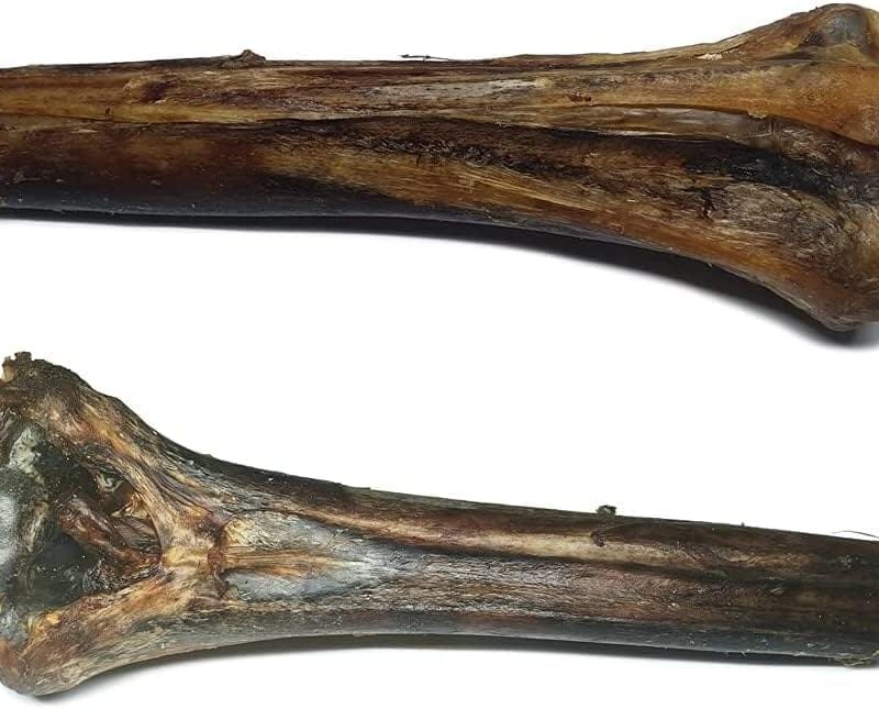 Ostrich Metatarsus Bones