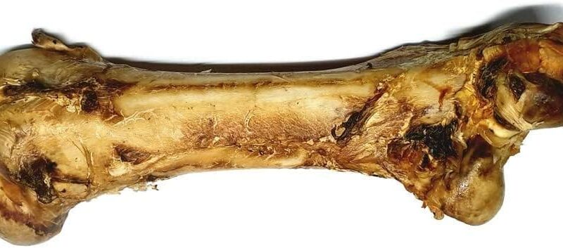Alternative view of Ostrich Dino Bone for Dogs