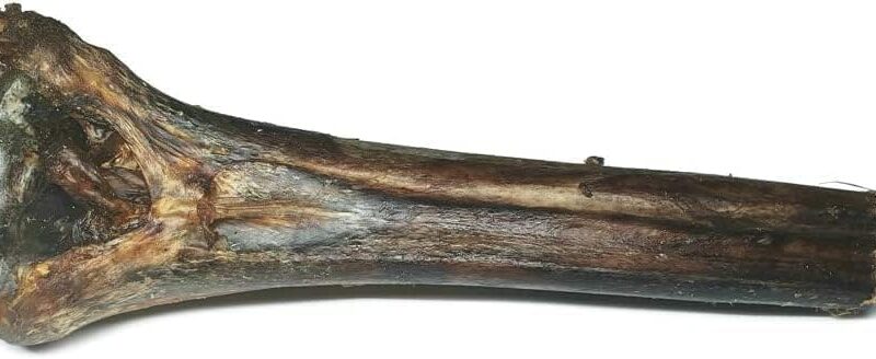 Ostrich Metatarsus Bones for Dogs - Bag of 2 - Image 3