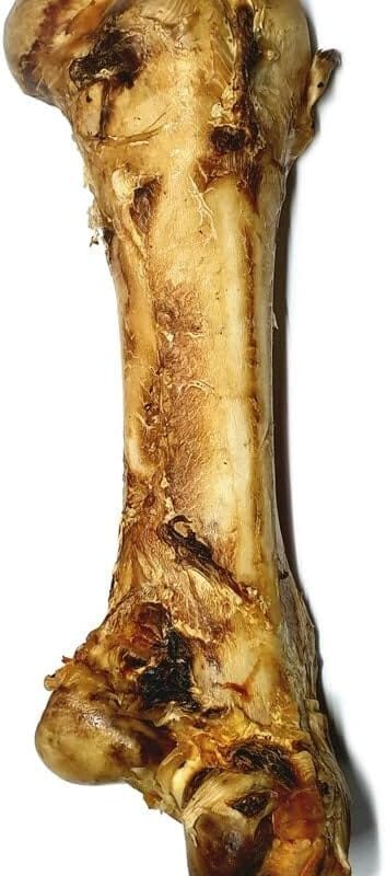 Ostrich Dino Bone for Dogs - Image 3