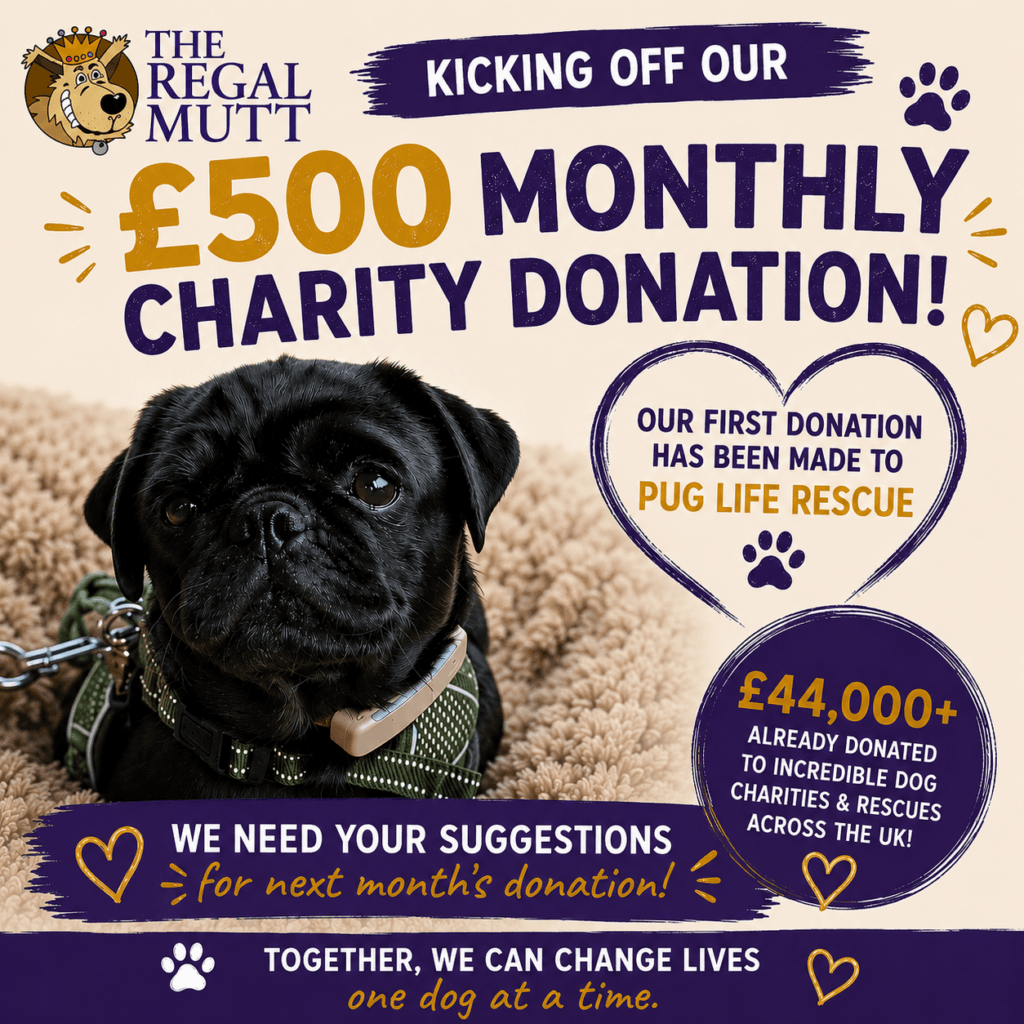 £500 DONATION