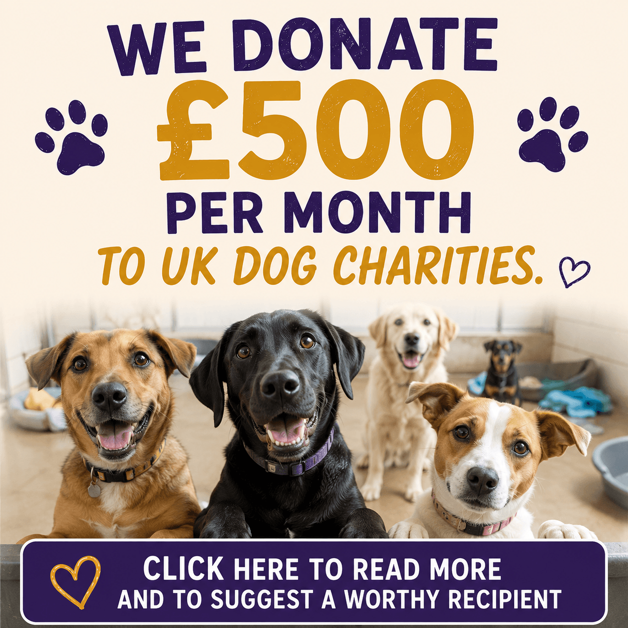 donate monthly