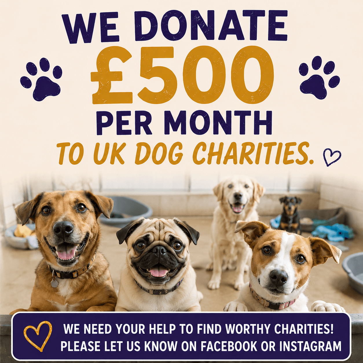 monthly-donation-help monthly donation