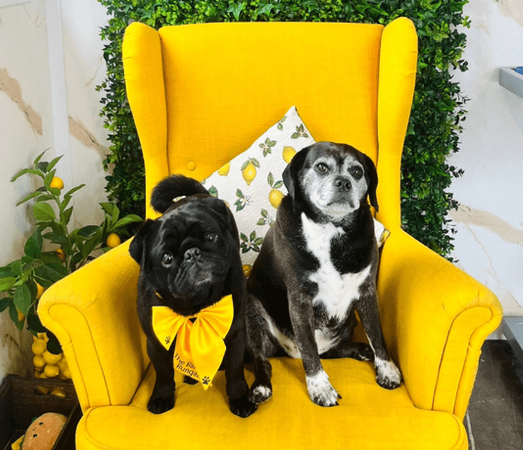 Archie & Puff