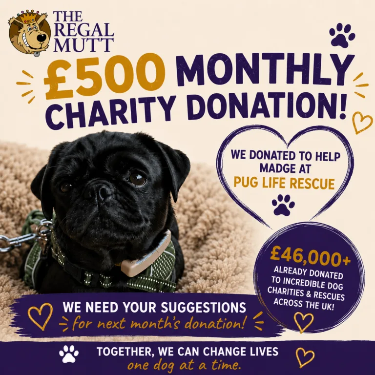 Charity donation