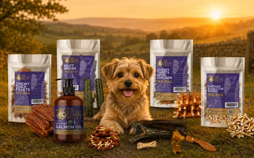 natural dog chews and treats